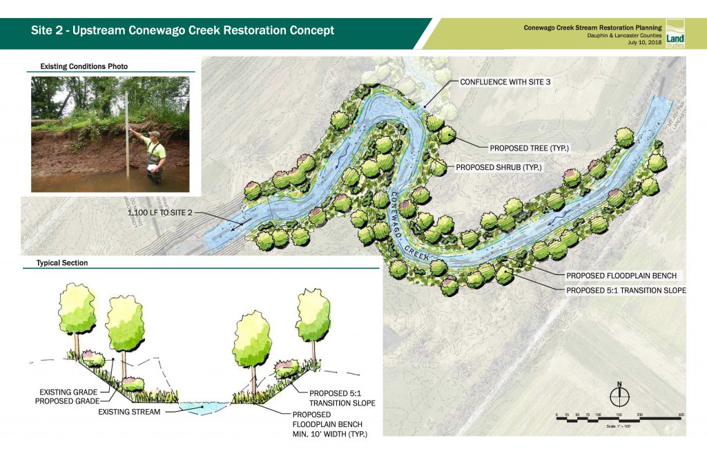 Conewago Creek Restoration report